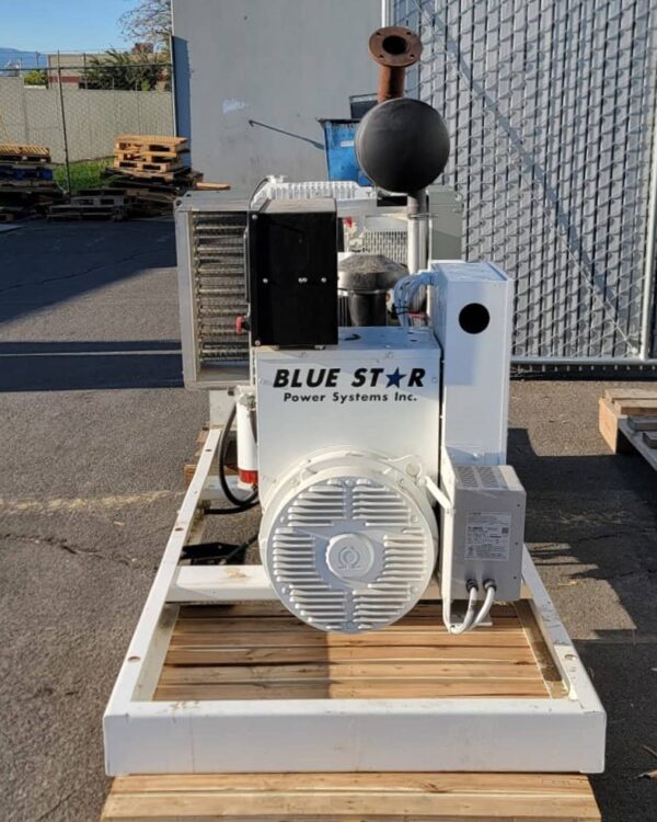 Blue Star PD100 01 100kW 480V Diesel Generator Set 2