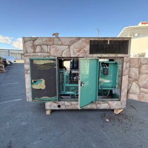 Cummins GGFE 42kW Natural Gas Generator Set